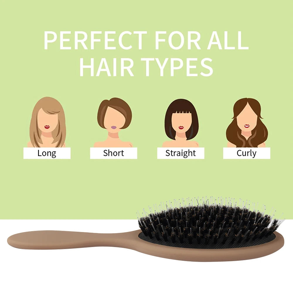 Matte Finish Boar Bristle Hair Brush Nylon Teeth Hair Extension Brush