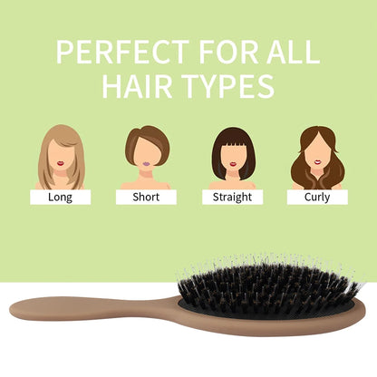 Matte Finish Boar Bristle Hair Brush Nylon Teeth Hair Extension Brush